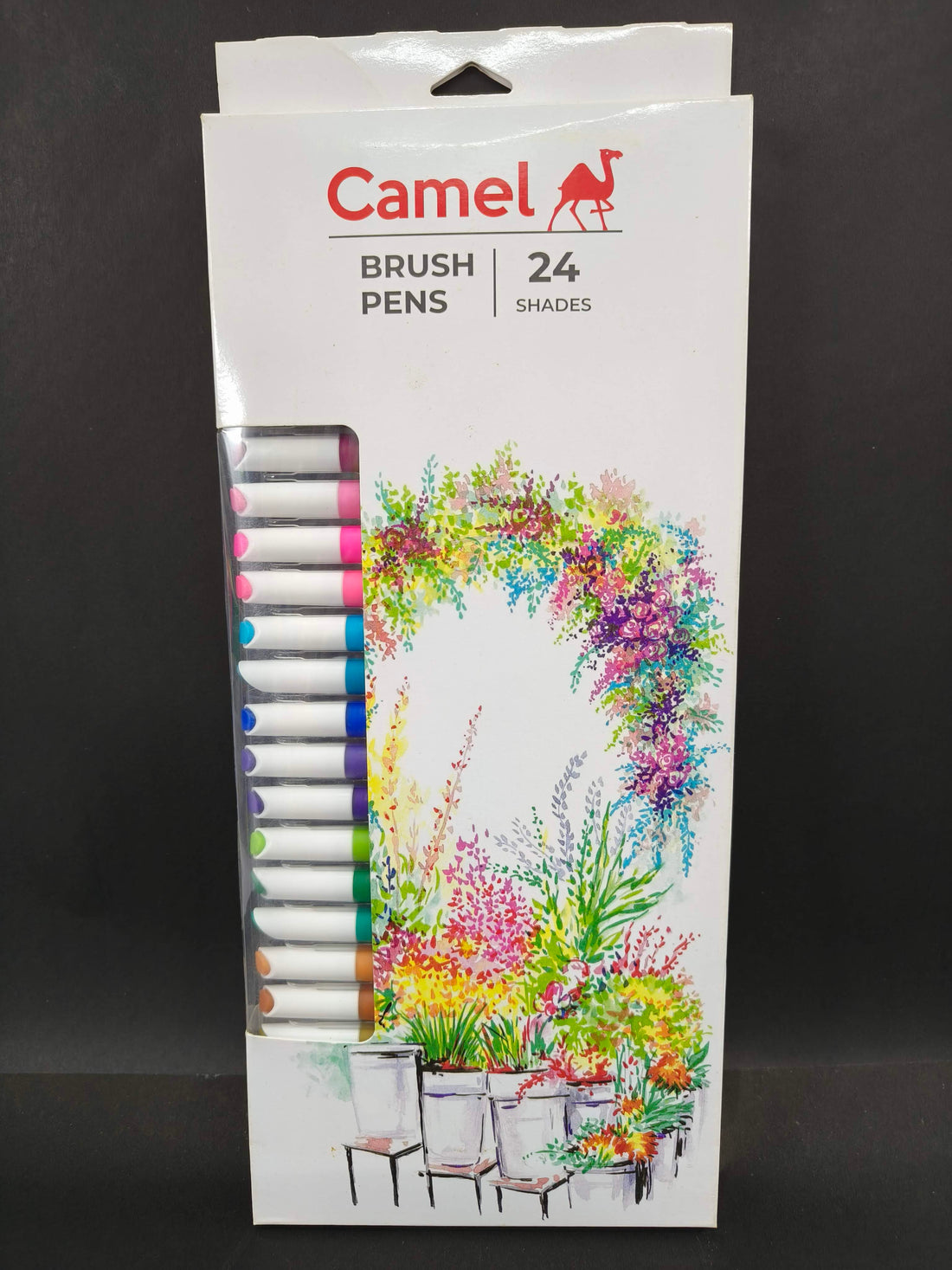 Camel Camlin Kokuyo Brush Pens, 24 Shades (Multicolor) - KtoY