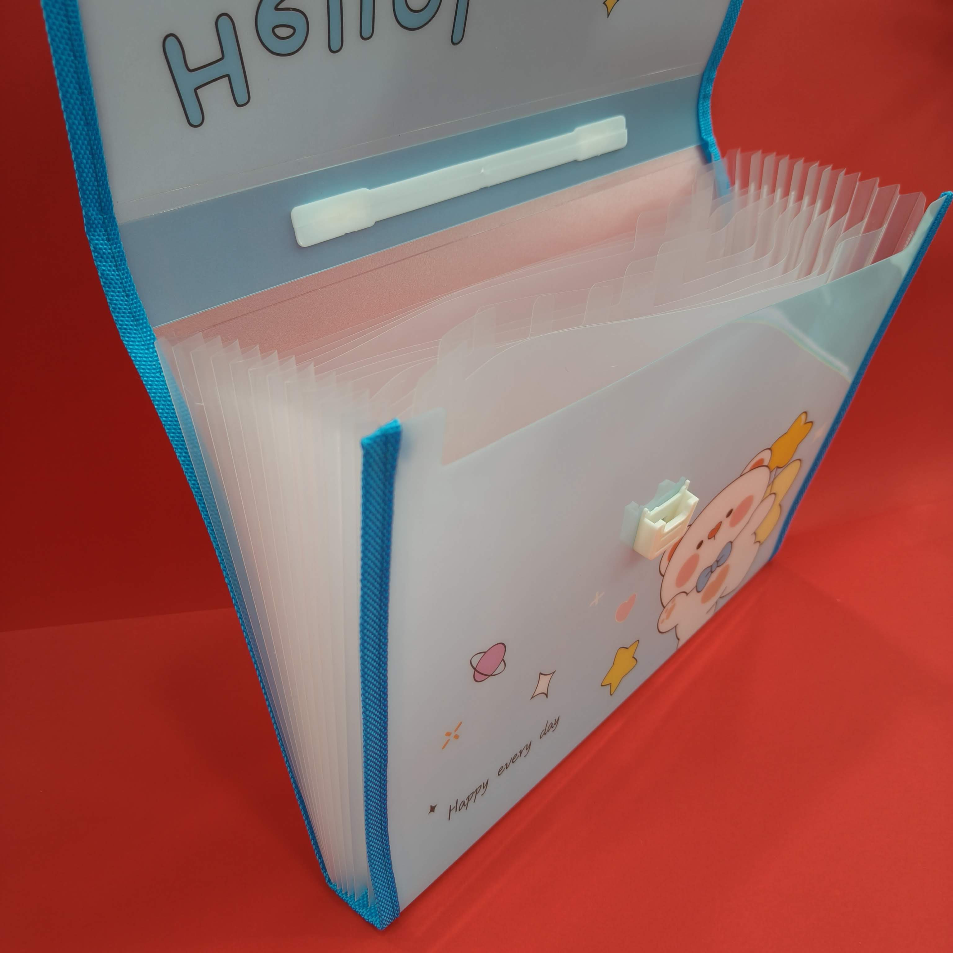 13 Slots File Folder for Kids | Paper Organizer | Documents Organizer | Document Bag | A4 Paper Folder | Brief Case Folder | Stylish File Folder - KtoY