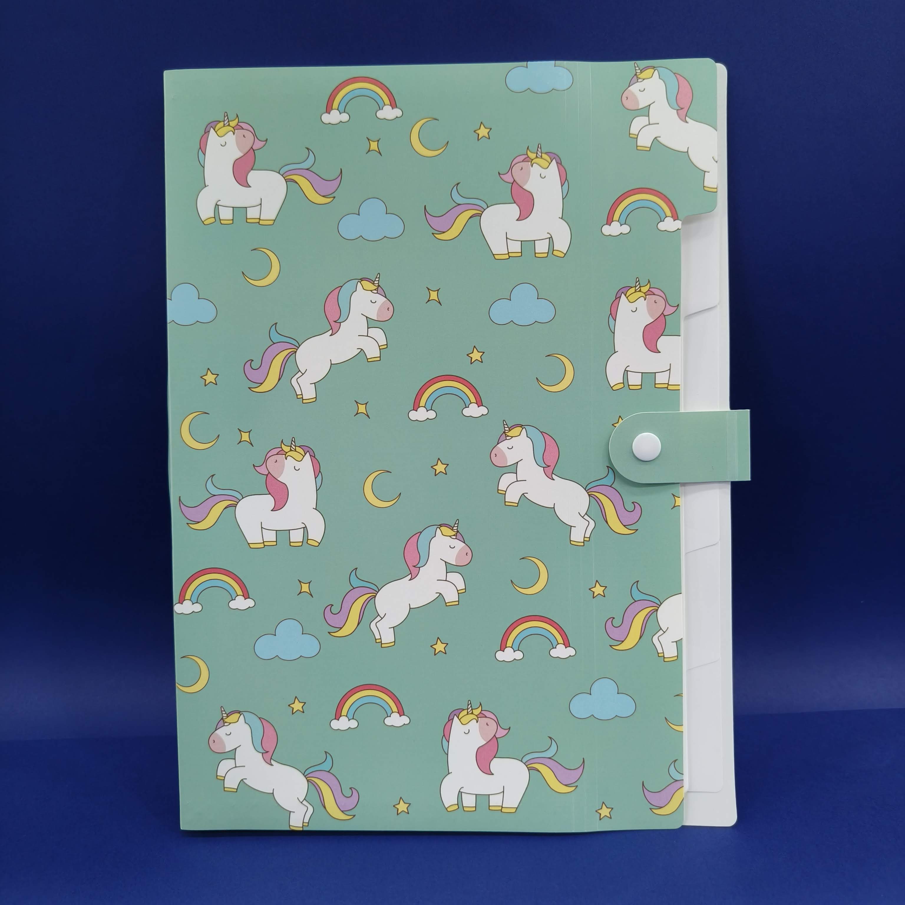 Plastic File Folder With Button Lock | Certificates Holder With 5 Pockets | Expandable Folders | Travel File Organizer Bag | Drawing Sheet Bags | Multicolor l Worksheet Folder - KtoY