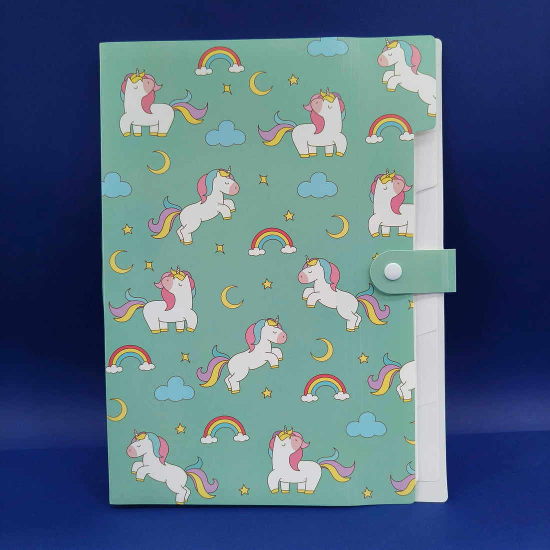 Plastic File Folder With Button Lock | Certificates Holder With 5 Pockets | Expandable Folders | Travel File Organizer Bag | Drawing Sheet Bags | Multicolor l Worksheet Folder - KtoY