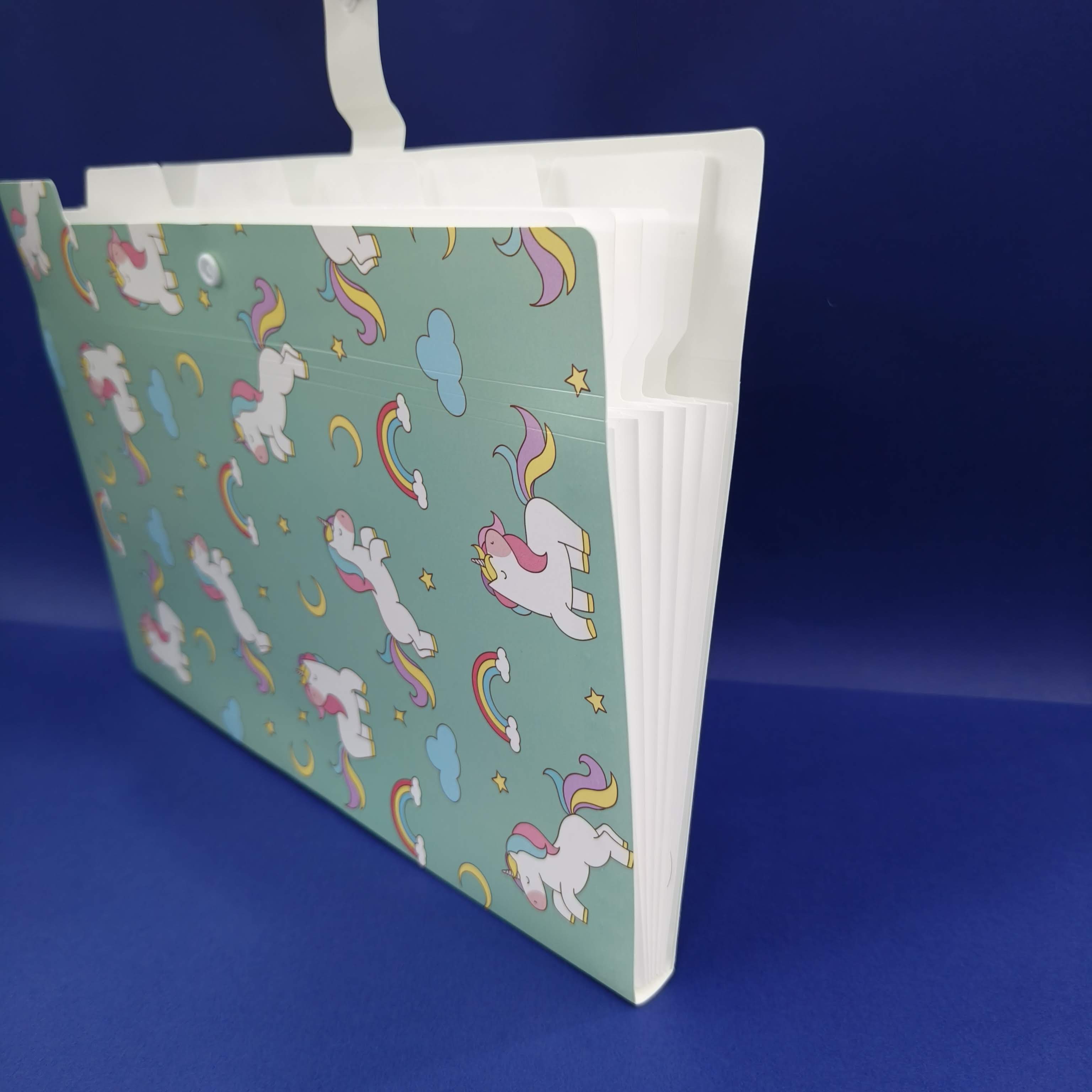 Plastic File Folder With Button Lock | Certificates Holder With 5 Pockets | Expandable Folders | Travel File Organizer Bag | Drawing Sheet Bags | Multicolor l Worksheet Folder - KtoY