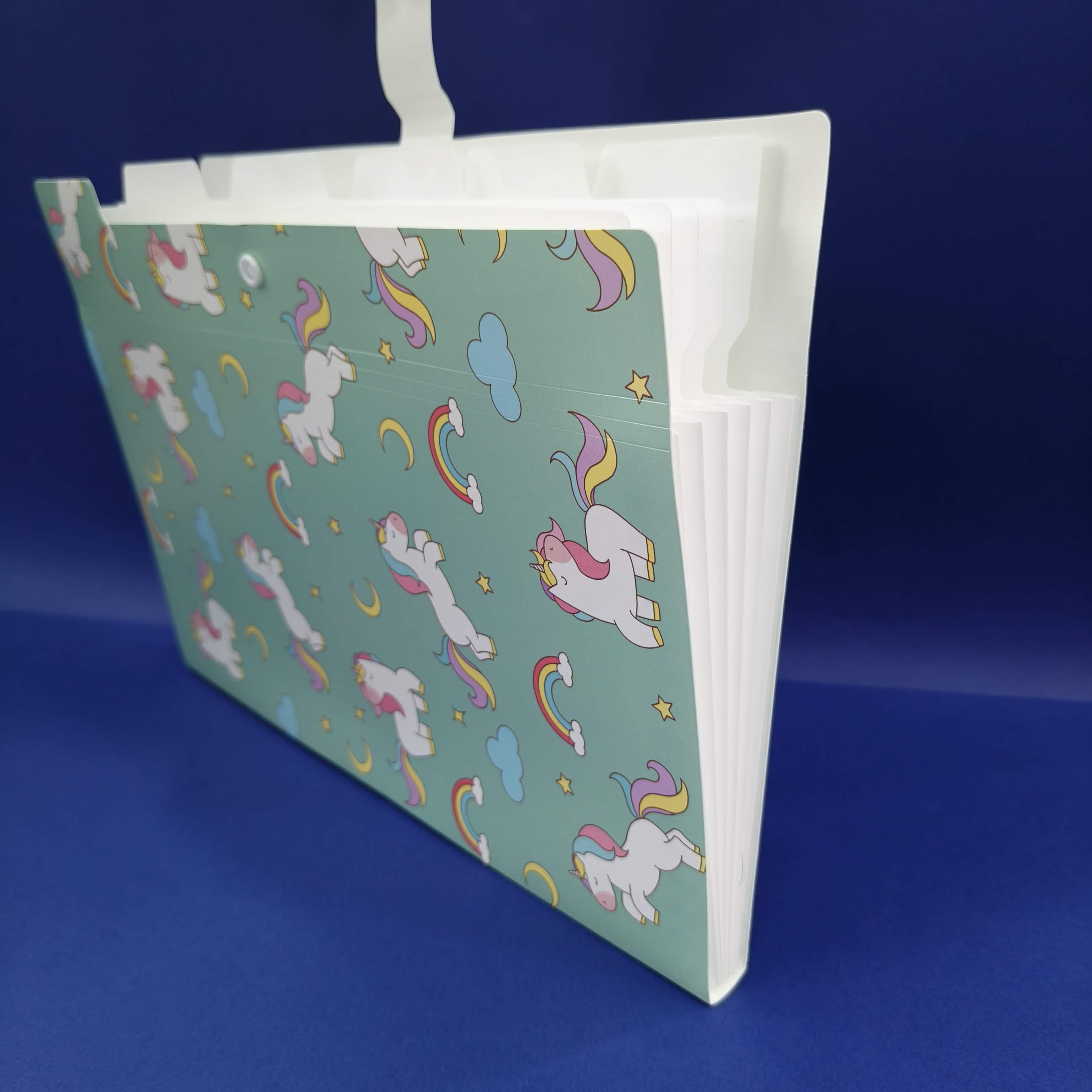 Plastic File Folder With Button Lock | Certificates Holder With 5 Pockets | Expandable Folders | Travel File Organizer Bag | Drawing Sheet Bags | Multicolor l Worksheet Folder - KtoY