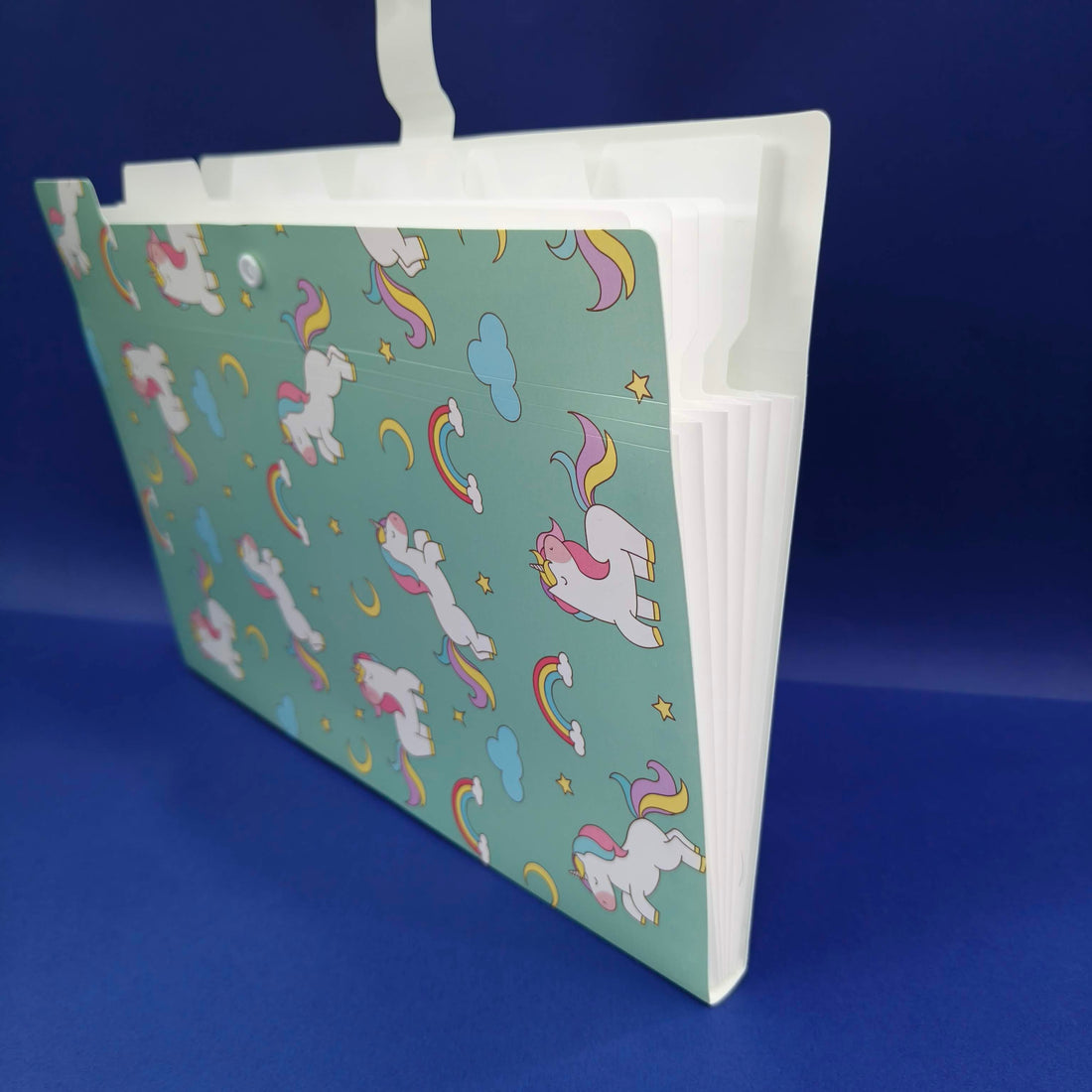 Plastic File Folder With Button Lock | Certificates Holder With 5 Pockets | Expandable Folders | Travel File Organizer Bag | Drawing Sheet Bags | Multicolor l Worksheet Folder - KtoY