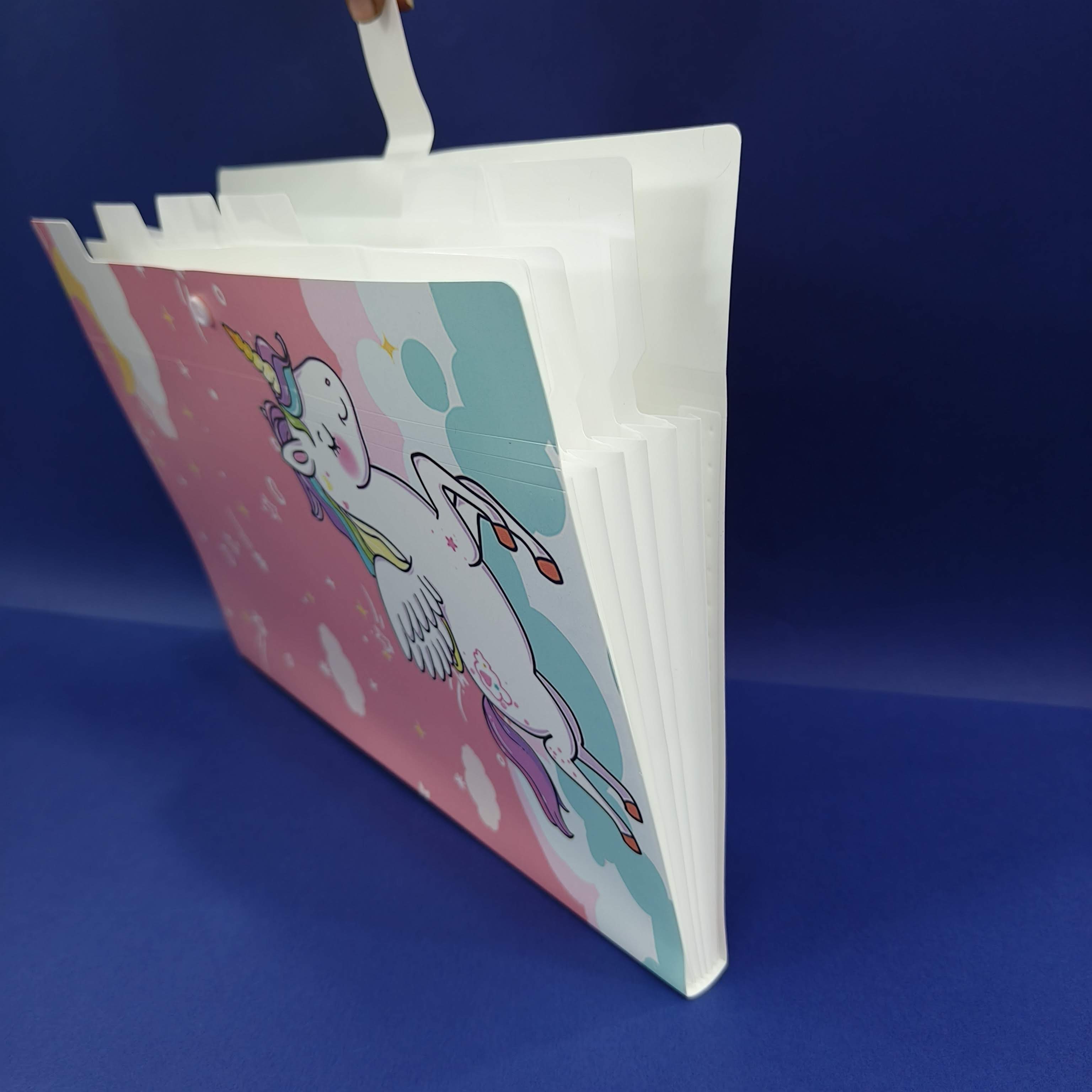 Plastic File Folder With Button Lock | Certificates Holder With 5 Pockets | Expandable Folders | Travel File Organizer Bag | Drawing Sheet Bags | Multicolor l Worksheet Folder - KtoY
