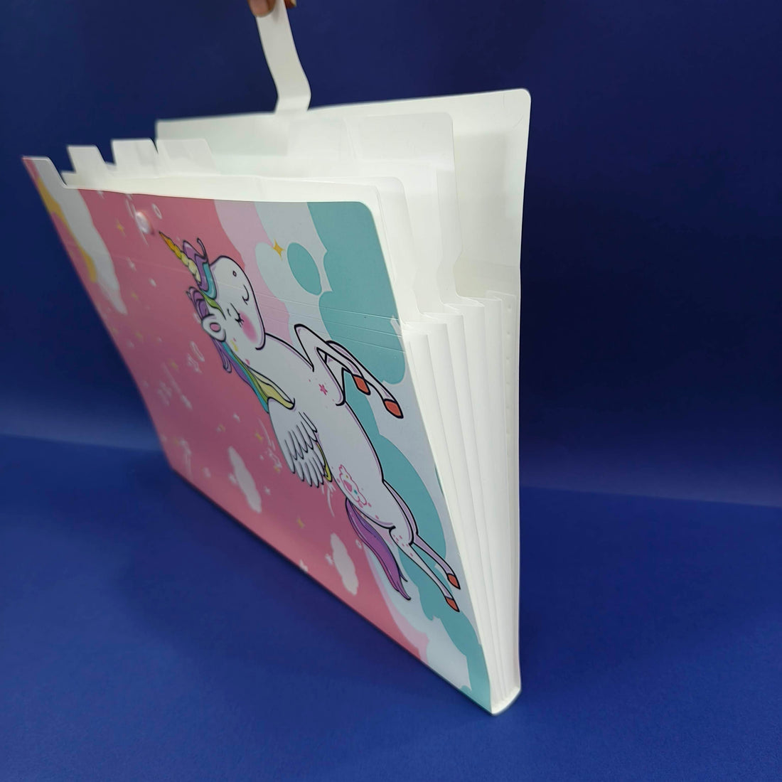 Plastic File Folder With Button Lock | Certificates Holder With 5 Pockets | Expandable Folders | Travel File Organizer Bag | Drawing Sheet Bags | Multicolor l Worksheet Folder - KtoY