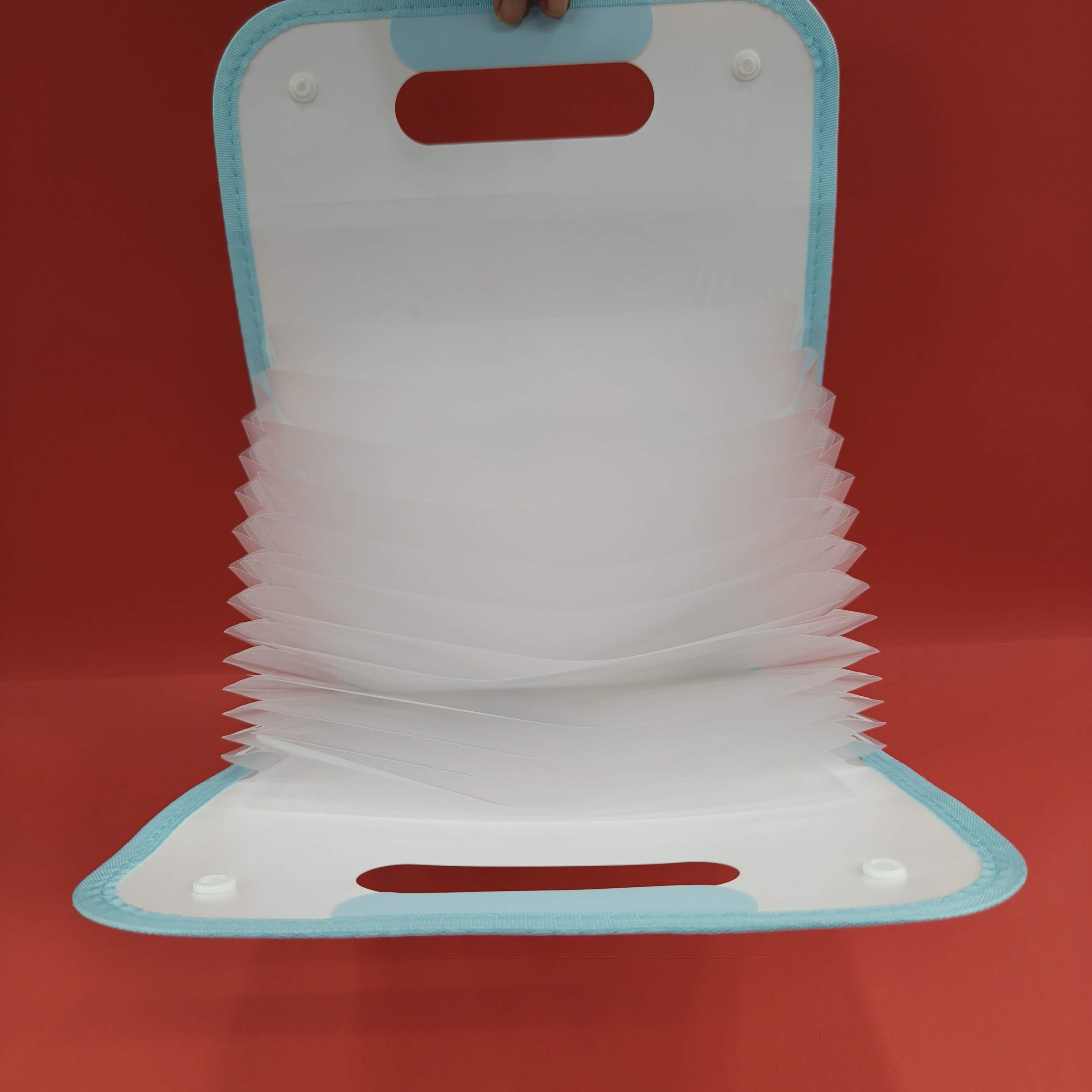 Expandable File Folder with Characters | 13 Pockets, Button Lock and Handle, A4 Size Expandable Folders for Documents | Worksheet Folder | - KtoY