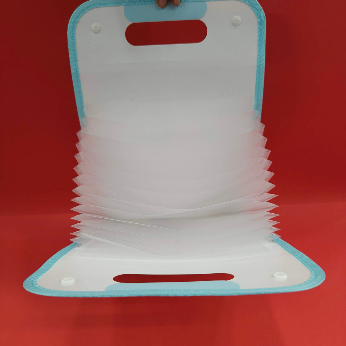 Expandable File Folder with Characters | 13 Pockets, Button Lock and Handle, A4 Size Expandable Folders for Documents | Worksheet Folder | - KtoY