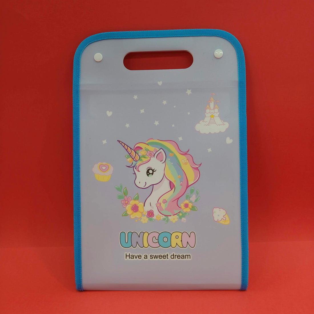 Expandable File Folder with Characters | 13 Pockets, Button Lock and Handle, A4 Size Expandable Folders for Documents | Worksheet Folder | - KtoY