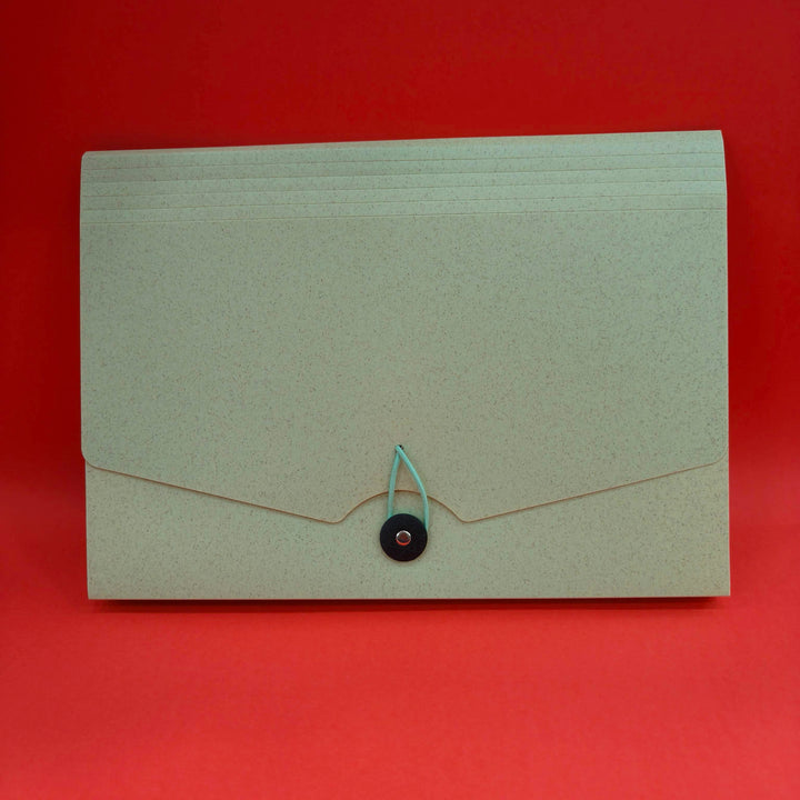 Marble Finish A4 Paper File Folder With Elastic Band Lock | Certificates Holder With 12 Pockets | Office Documents File | Expandable Folders For Documents | Multicolor | Worksheet Folders | Drawing Sheet Folders