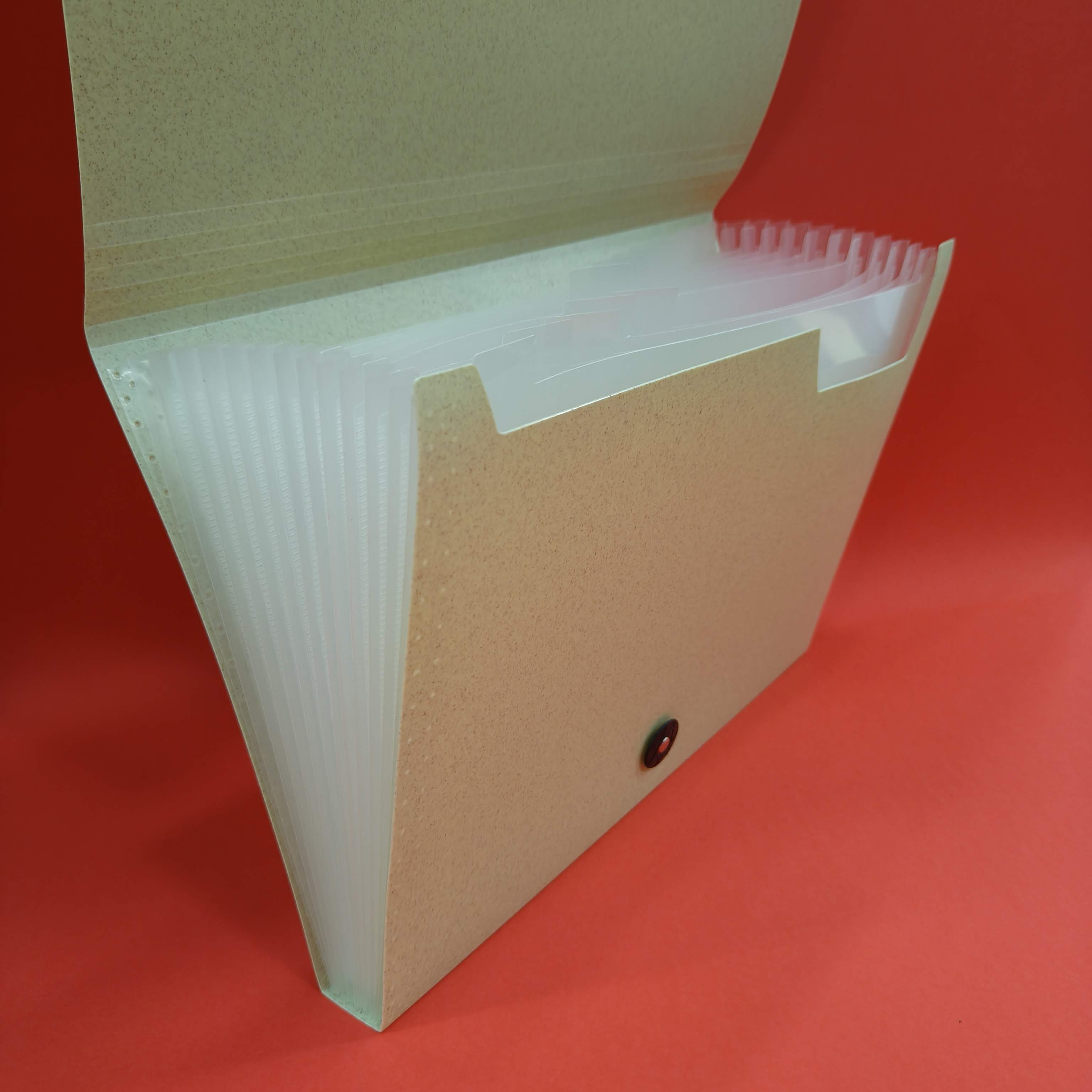 Marble Finish A4 Paper File Folder With Elastic Band Lock | Certificates Holder With 12 Pockets | Office Documents File | Expandable Folders For Documents | Multicolor | Worksheet Folders | Drawing Sheet Folders - KtoY