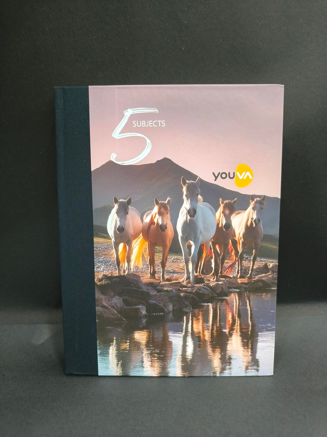 YOUVA Navneet | Case Bound/Hard Cover | 5 Subject Notebook For Students And Executives | 18.5 Cm X 24.7 Cm | Single Line | 400 Pages | Pack Of 1 | Assorted Designs - KtoY