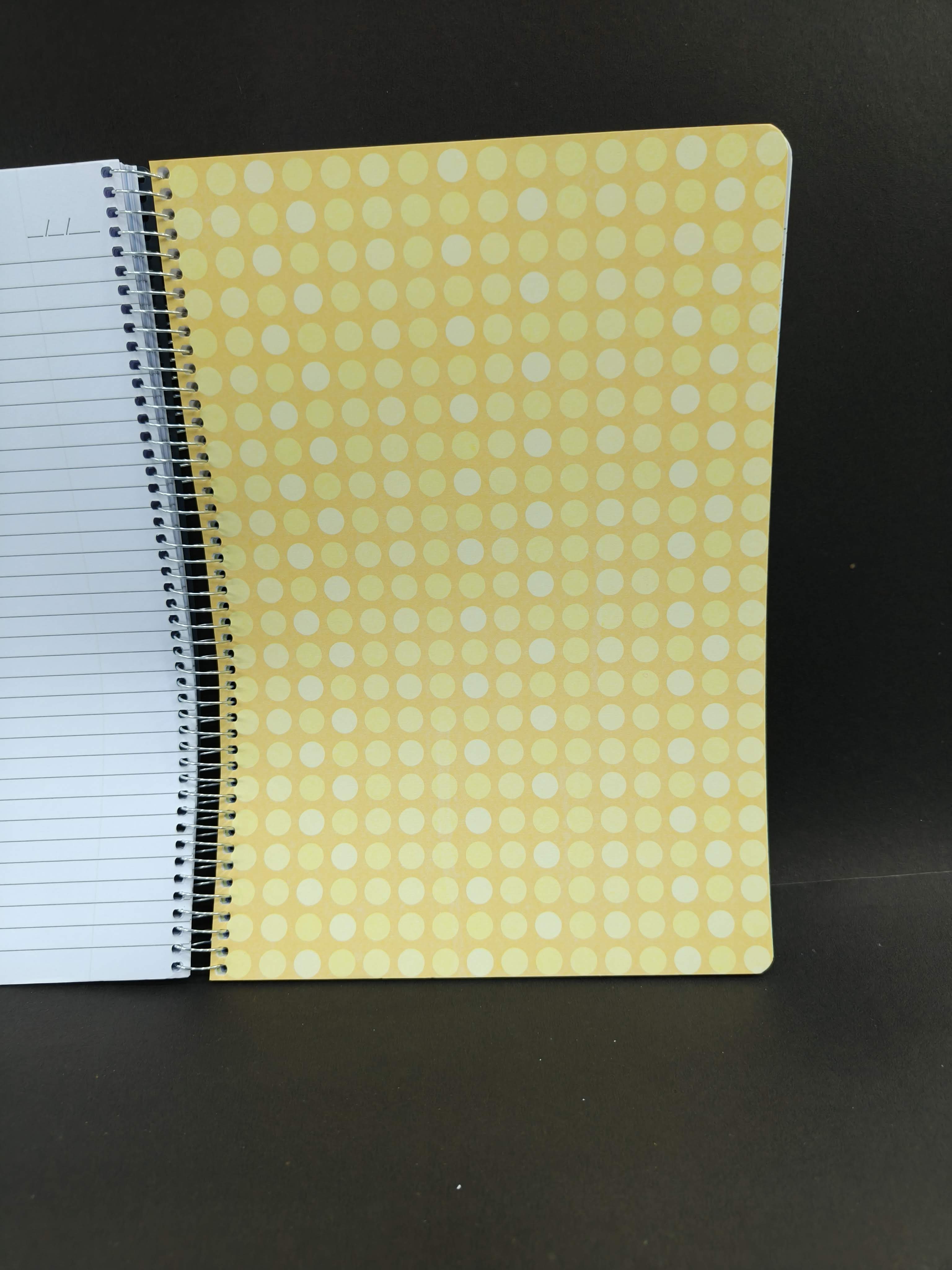 Classmate Pulse 6 Subject Spiral Notebook - 302 Pages | Single Line | Spiral Bound Notebook | Soft Cover | Pack of 3 - KtoY