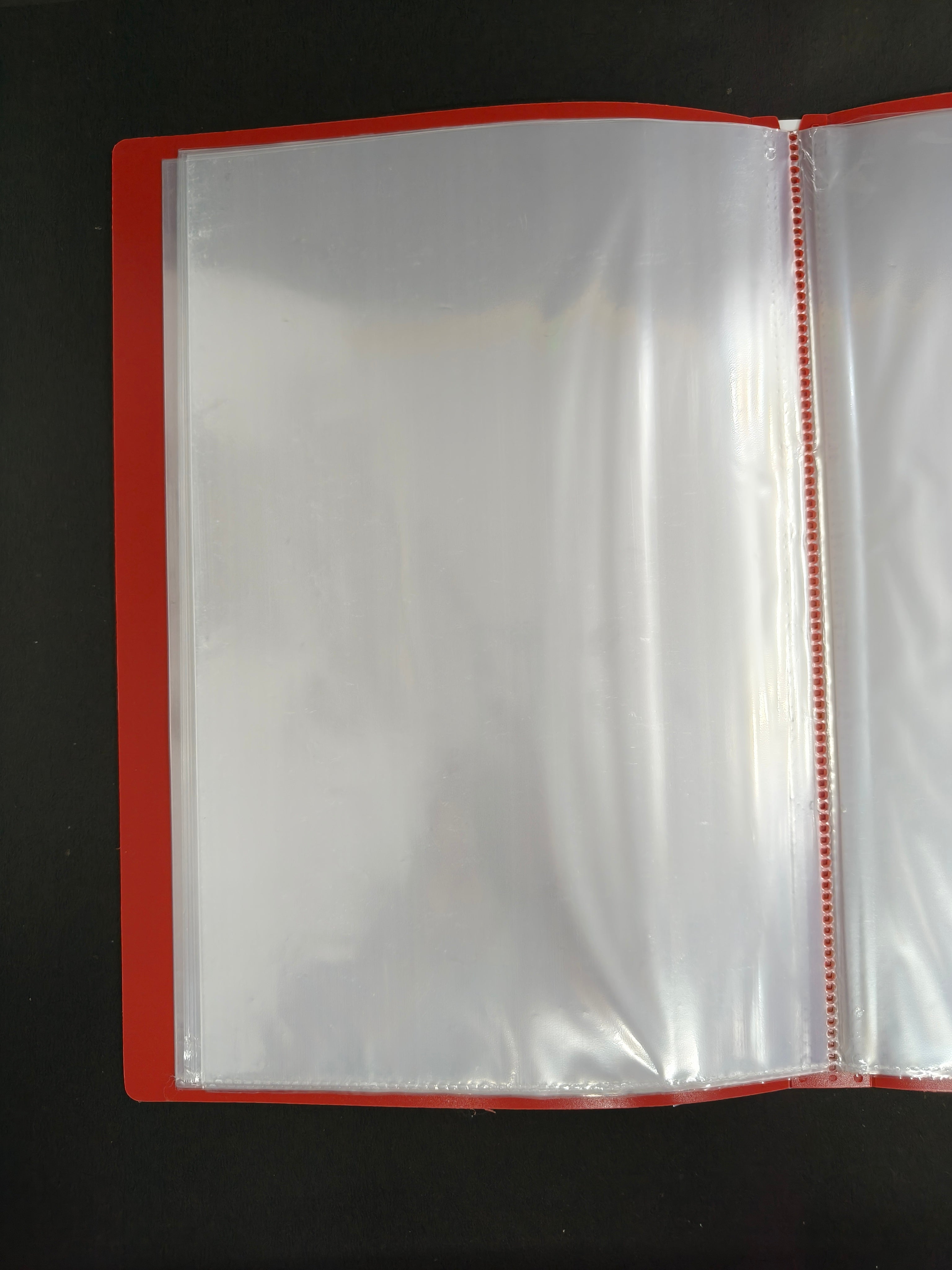 SRS FC Display Book 60 Pocket – File for Document Organization | Best for Schools, Offices & Court Use (Pack of 1)