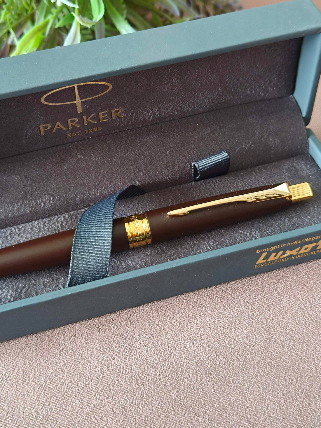 Parker Aster Matte Brown | Gold Trim | Ball Pen