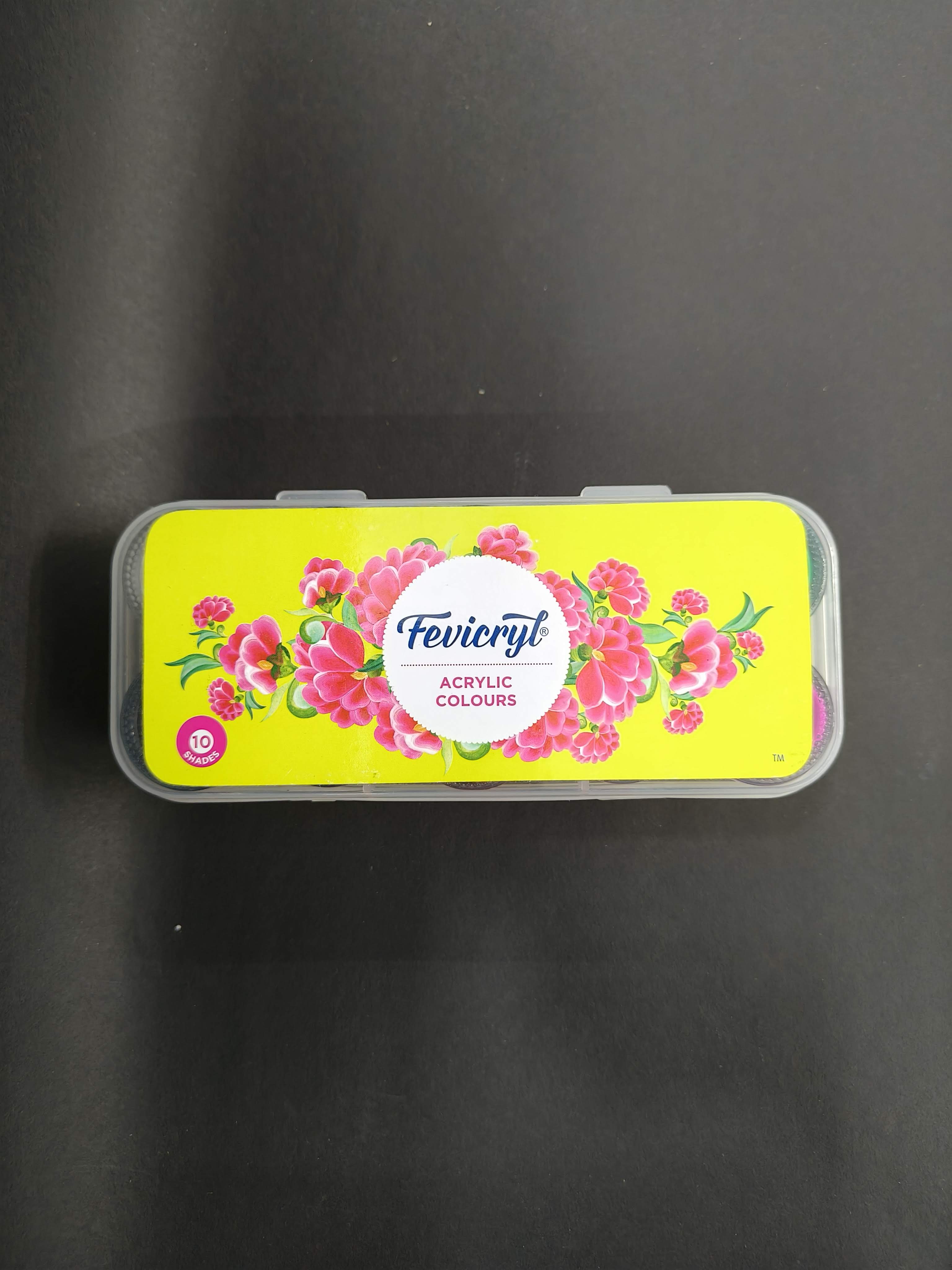 Fevicryl Acrylic Colours Kit | 10 Colours x 15 ml | DIY Paint, Rich Pigment | Multicolour & Multi-surface | Non-Cracking Paint for Canvas, Wood, Leather, Earthenware, Metal