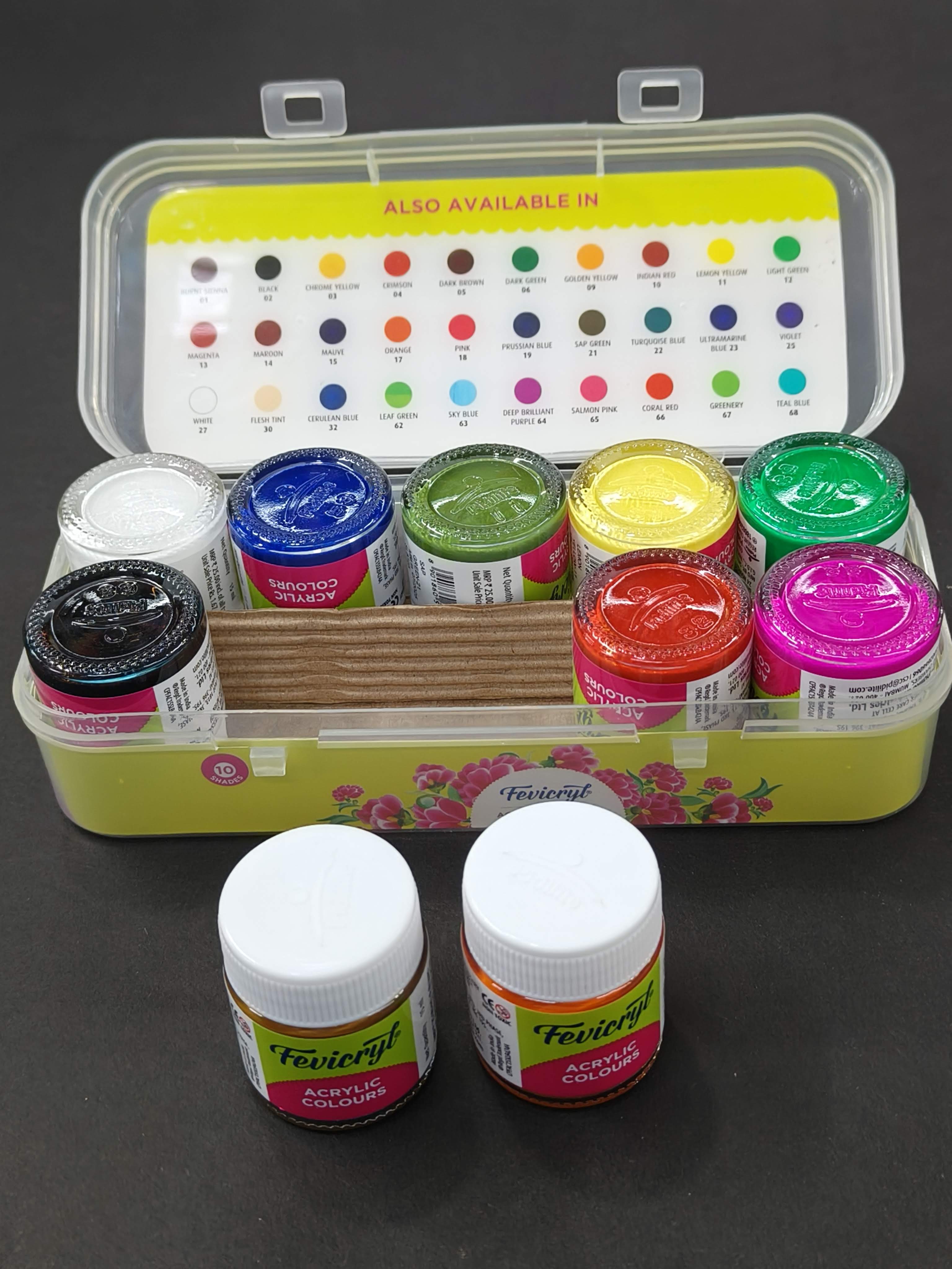 Fevicryl Acrylic Colours Kit | 10 Colours x 15 ml | DIY Paint, Rich Pigment | Multicolour & Multi-surface | Non-Cracking Paint for Canvas, Wood, Leather, Earthenware, Metal