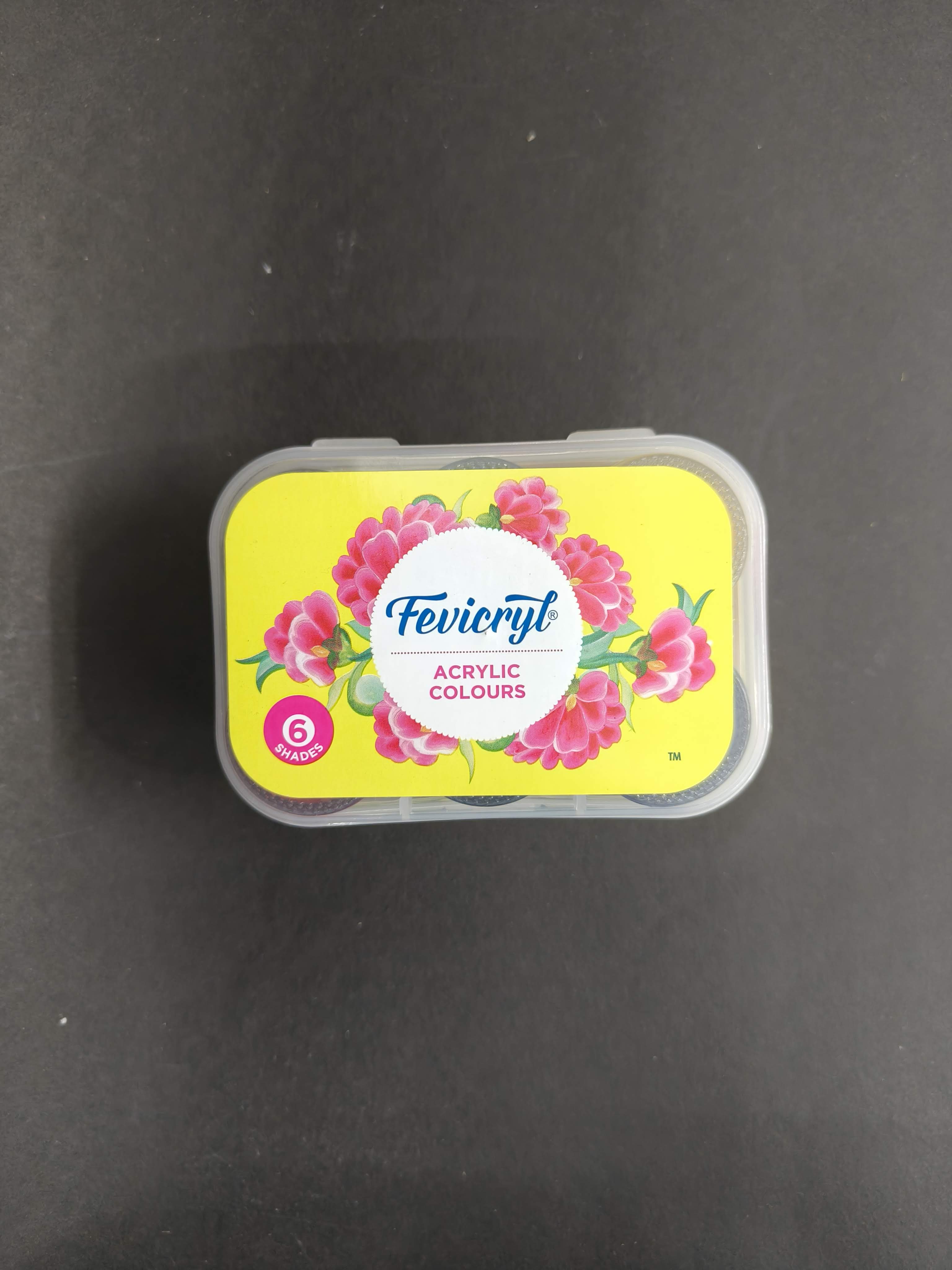 Fevicryl Acrylic Colours Kit | 6 Colours x 15 ml | DIY Paint, Rich Pigment | Multicolour & Multi-surface | Non-Cracking Paint for Canvas, Wood, Leather, Earthenware, Metal