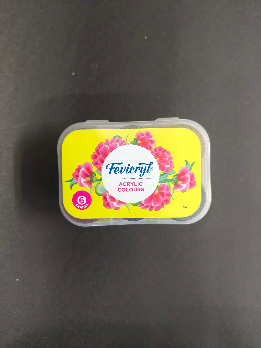 Fevicryl Acrylic Colours Kit | 6 Colours x 15 ml | DIY Paint, Rich Pigment | Multicolour & Multi-surface | Non-Cracking Paint for Canvas, Wood, Leather, Earthenware, Metal