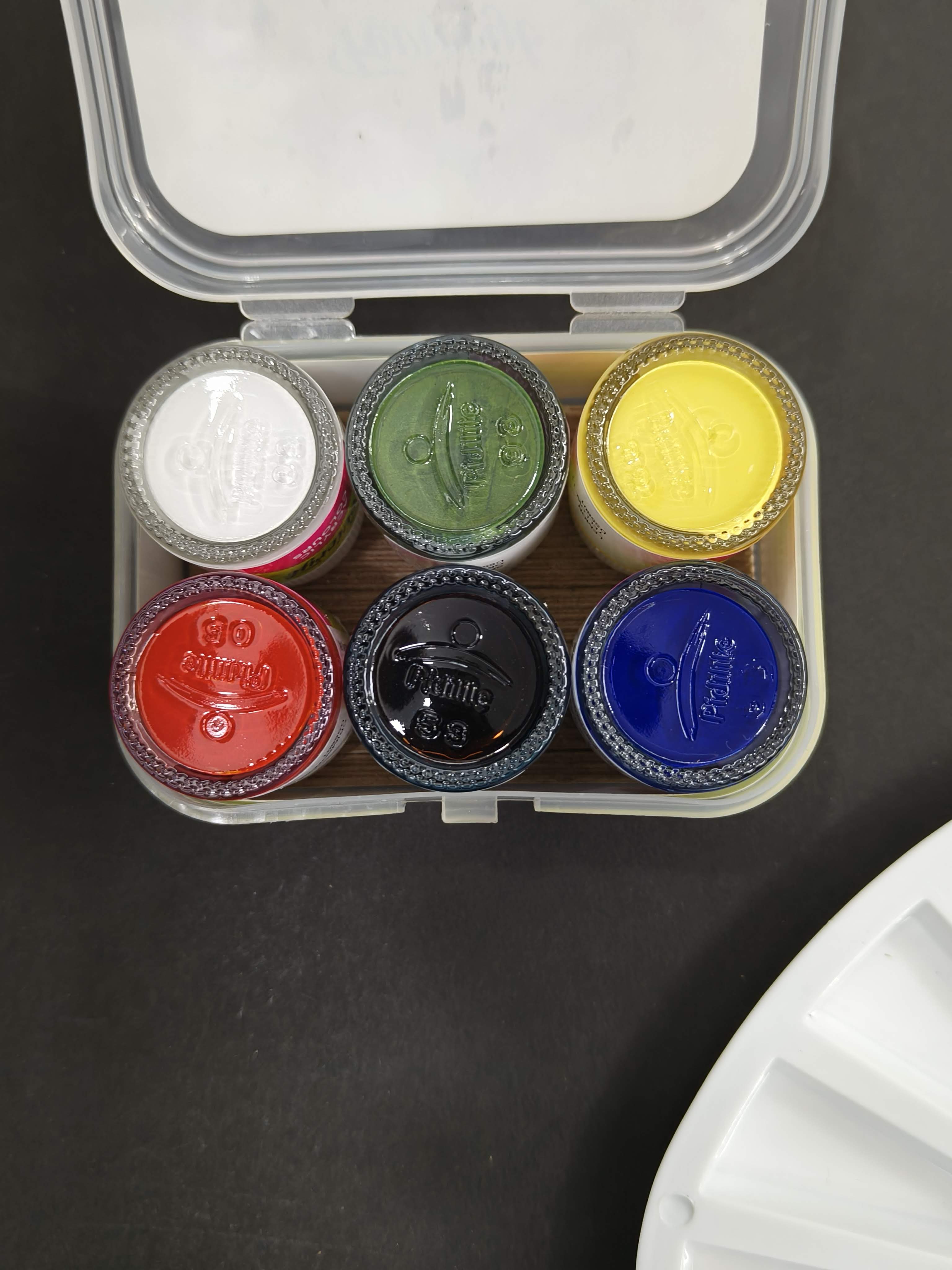 Fevicryl Acrylic Colours Kit | 6 Colours x 15 ml | DIY Paint, Rich Pigment | Multicolour & Multi-surface | Non-Cracking Paint for Canvas, Wood, Leather, Earthenware, Metal