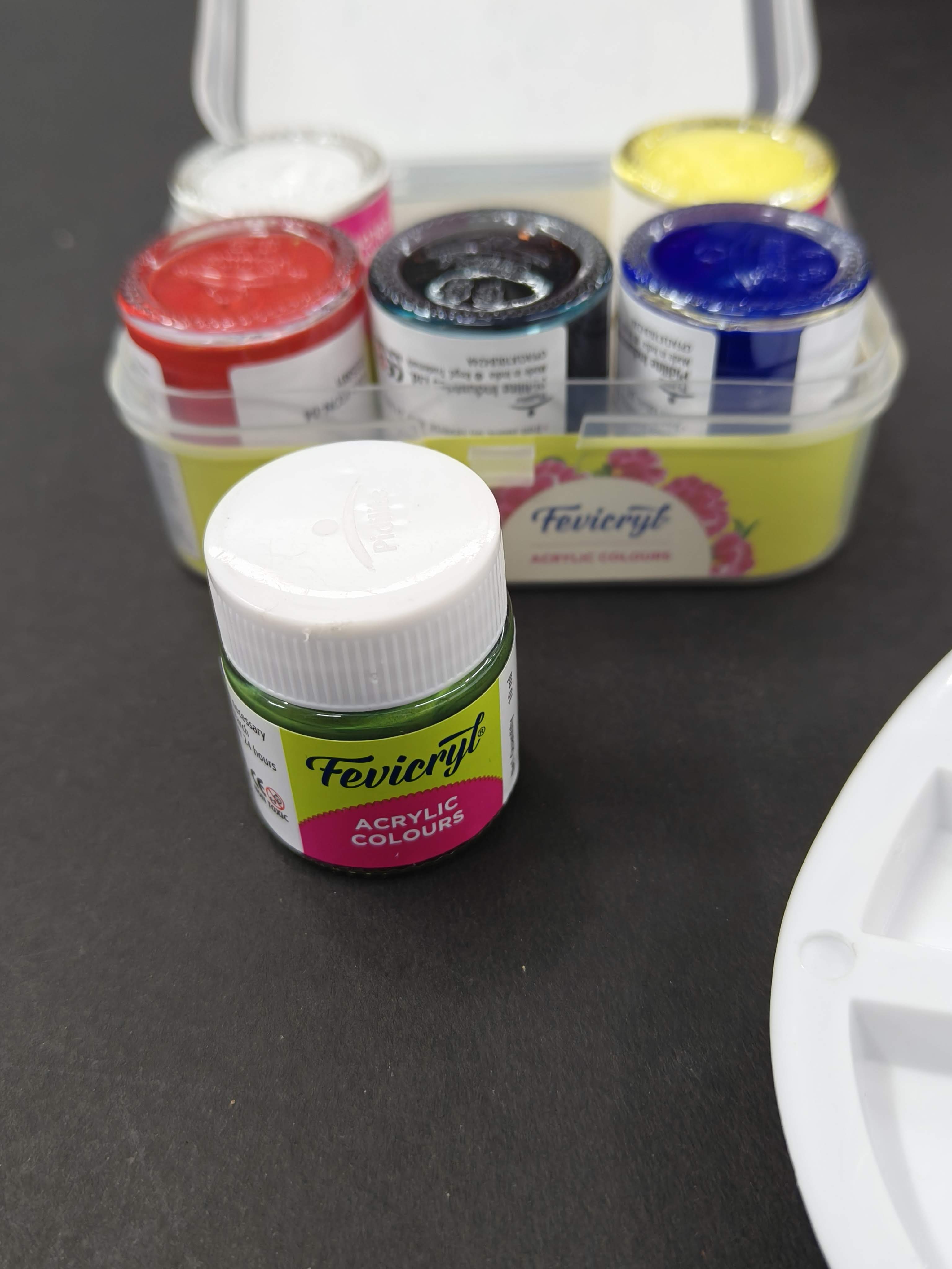 Fevicryl Acrylic Colours Kit | 6 Colours x 15 ml | DIY Paint, Rich Pigment | Multicolour & Multi-surface | Non-Cracking Paint for Canvas, Wood, Leather, Earthenware, Metal
