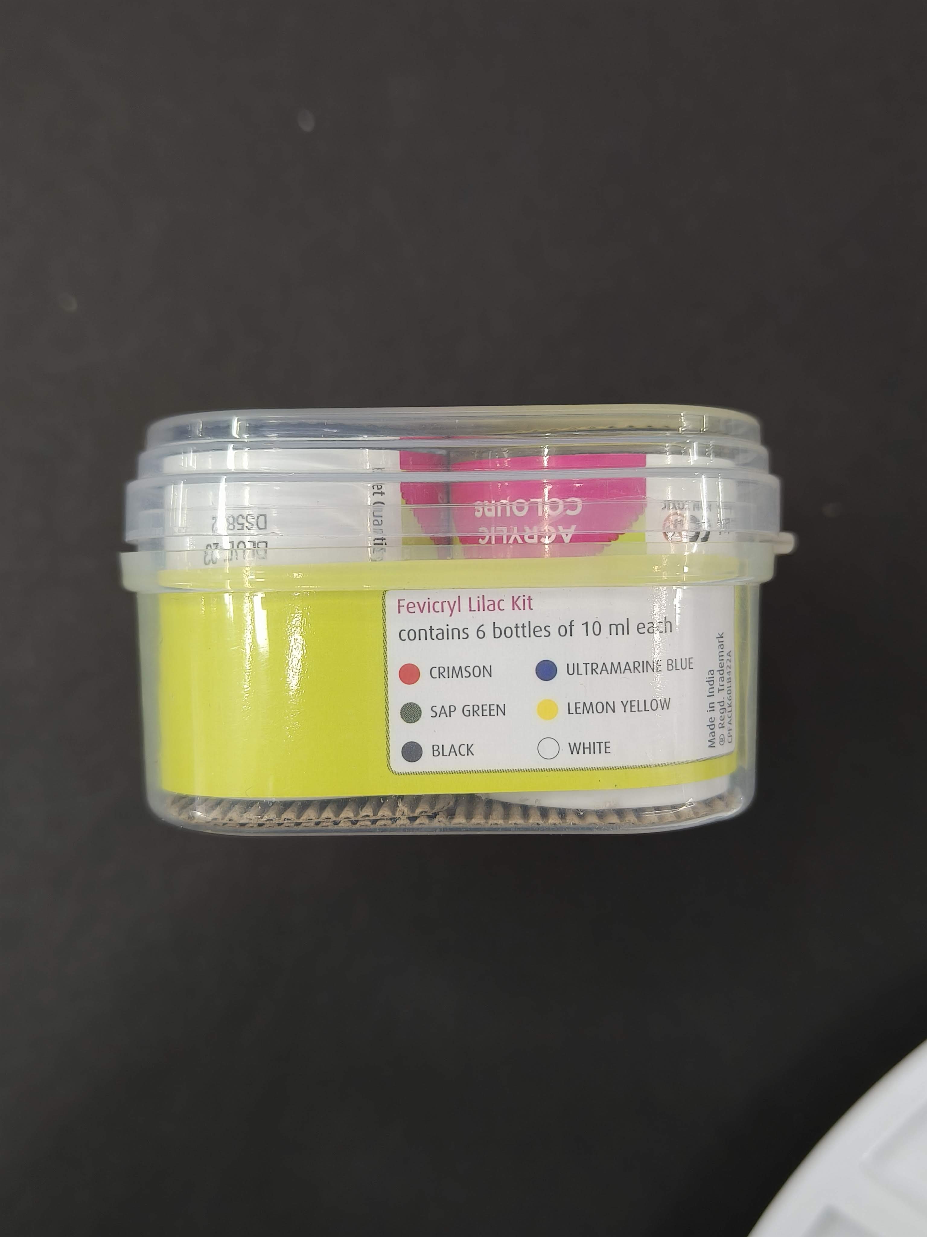 Fevicryl Acrylic Colours Kit | 6 Colours x 15 ml | DIY Paint, Rich Pigment | Multicolour & Multi-surface | Non-Cracking Paint for Canvas, Wood, Leather, Earthenware, Metal