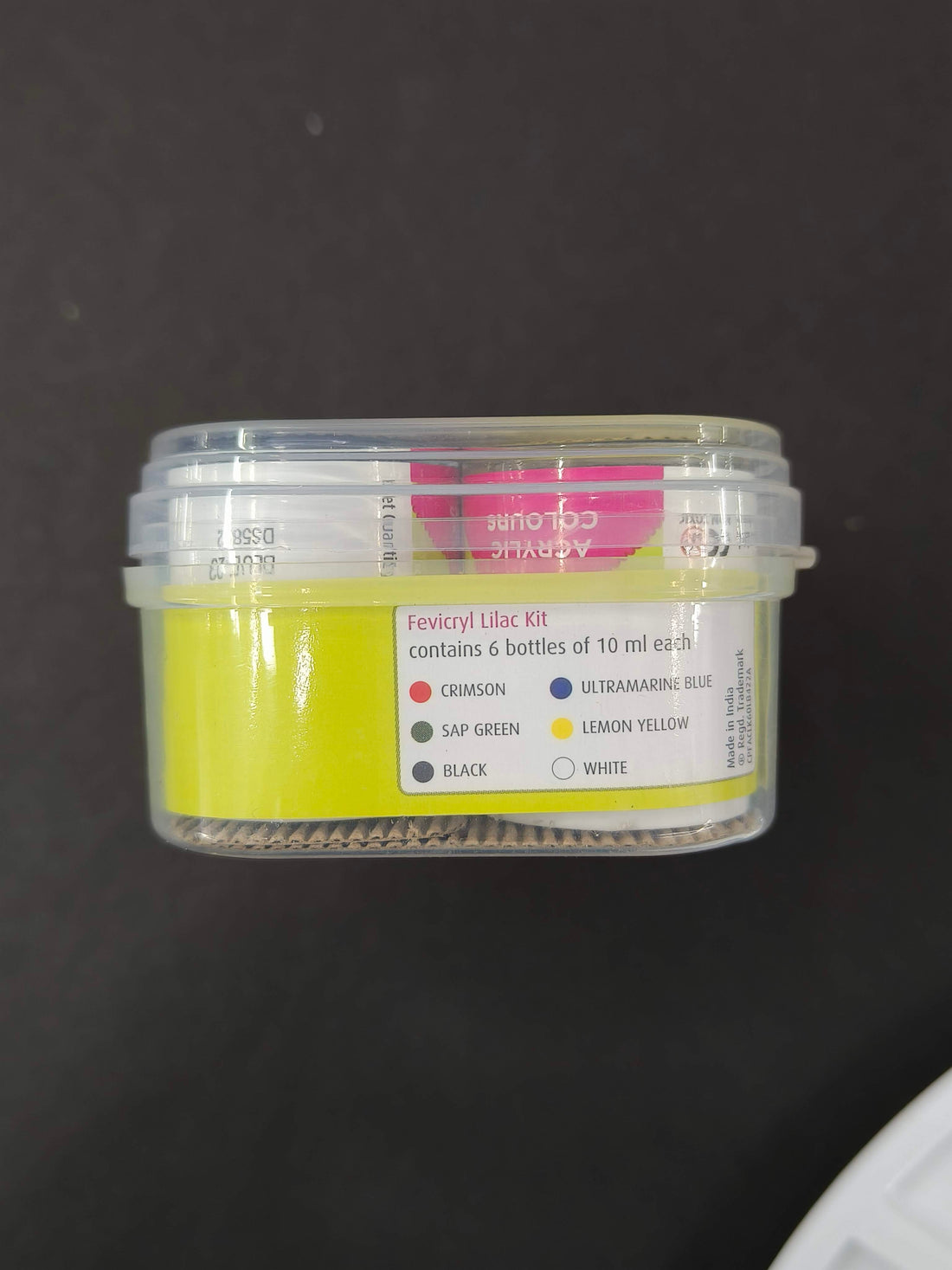 Fevicryl Acrylic Colours Kit | 6 Colours x 15 ml | DIY Paint, Rich Pigment | Multicolour & Multi-surface | Non-Cracking Paint for Canvas, Wood, Leather, Earthenware, Metal