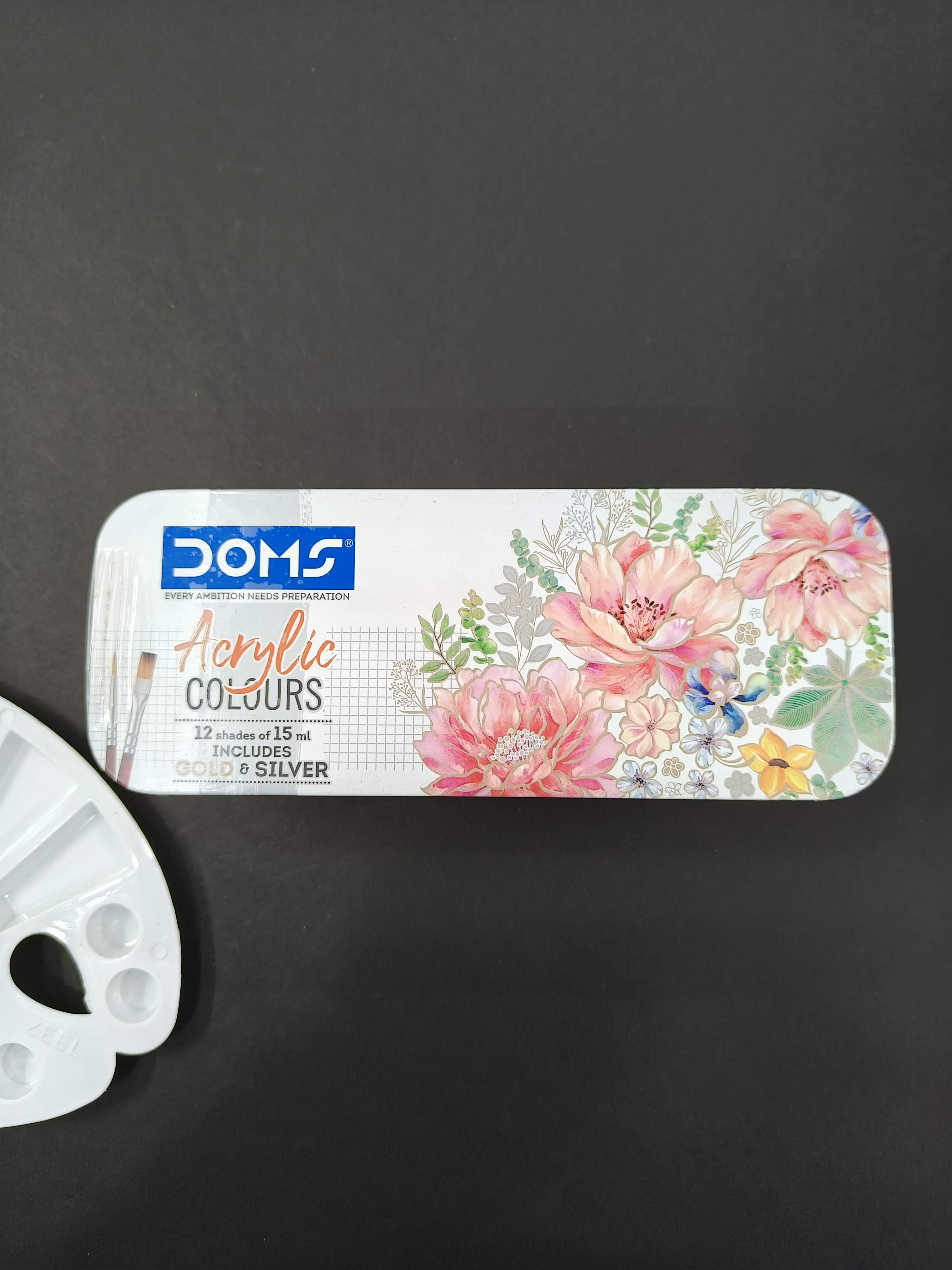 Doms Acrylic Colours 12 Shades Kit 15ml | Includes Gold & Silver with 2 Brushes Included in The Box | DIY Paint Rich Pigment Paint for Canvas Wood Metal