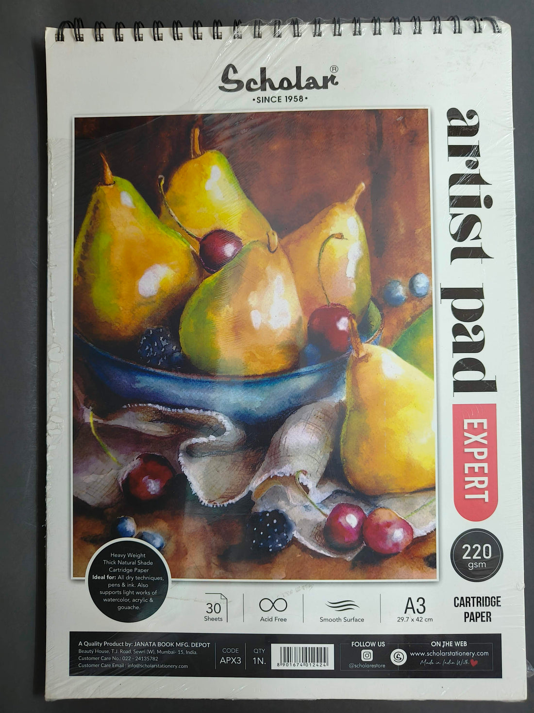 Scholar A3 Artist Pad - Expert (220 GSM, Natural Shade Cartridge Paper, Wiro Bound)