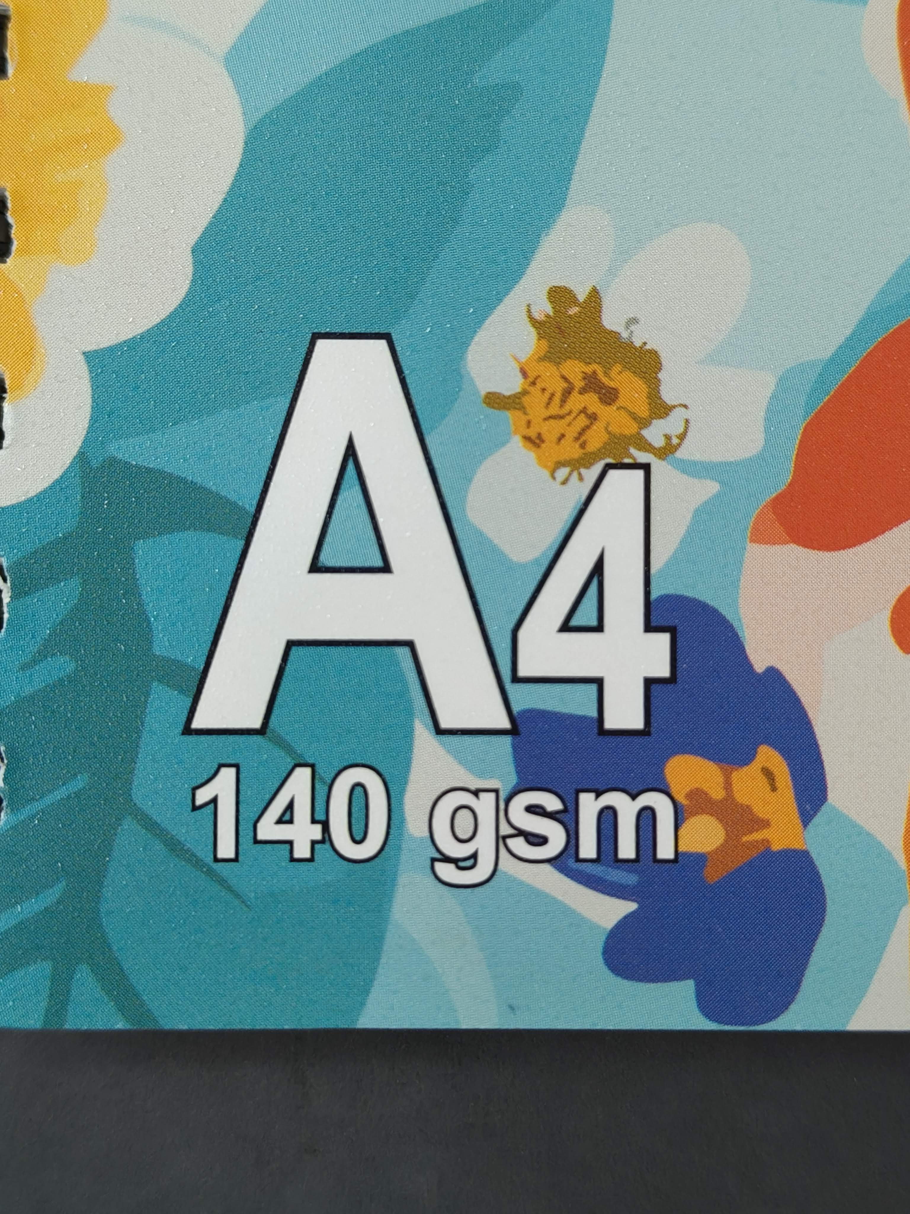 Sundaram A4 Size 140 GSM Paper Spiral Wiro Drawing Book 100 Pages for Artist Students Kids Professional