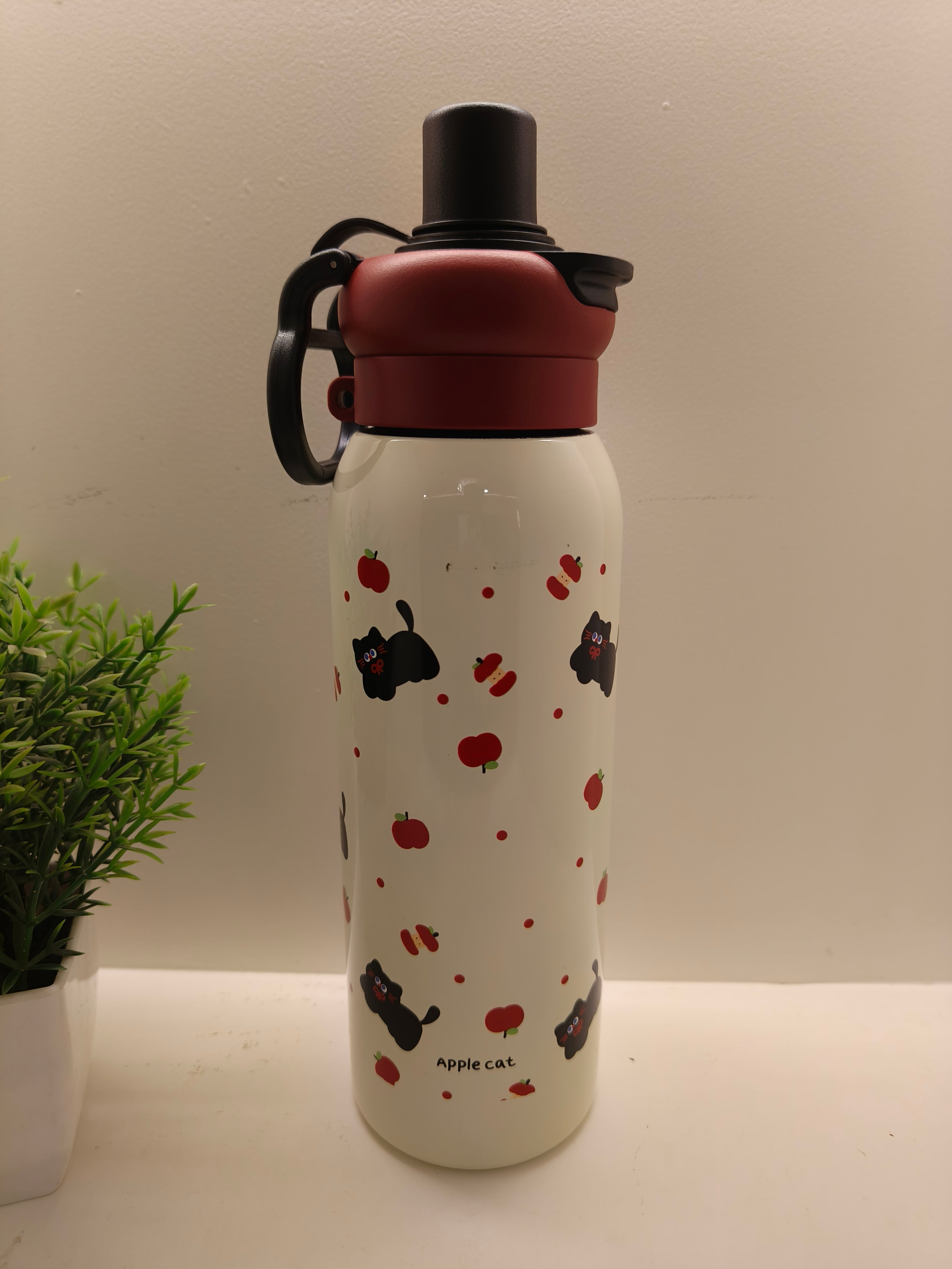 Cute Bottle Set – Hot & Cold Insulated | Travel Ready
