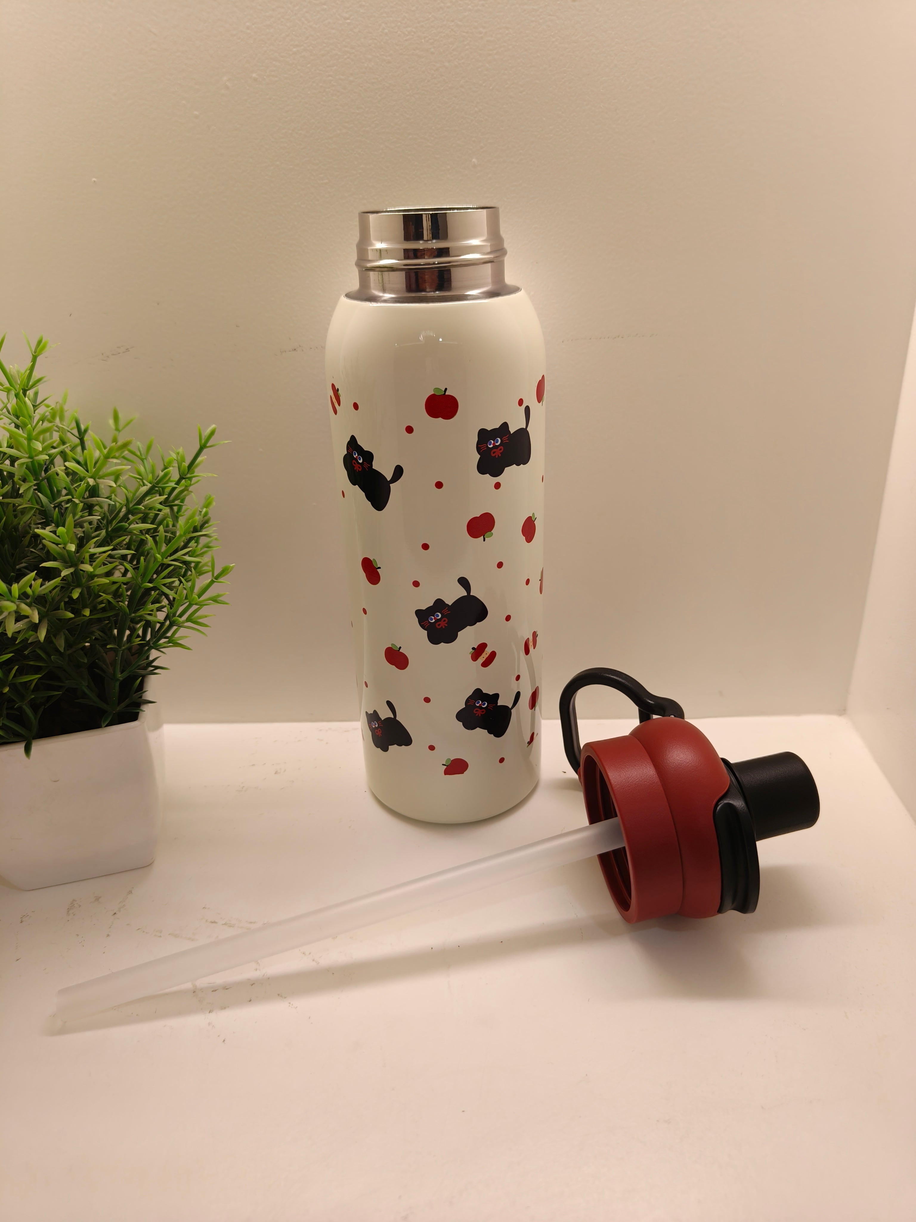 Cute Bottle Set – Hot & Cold Insulated | Travel Ready
