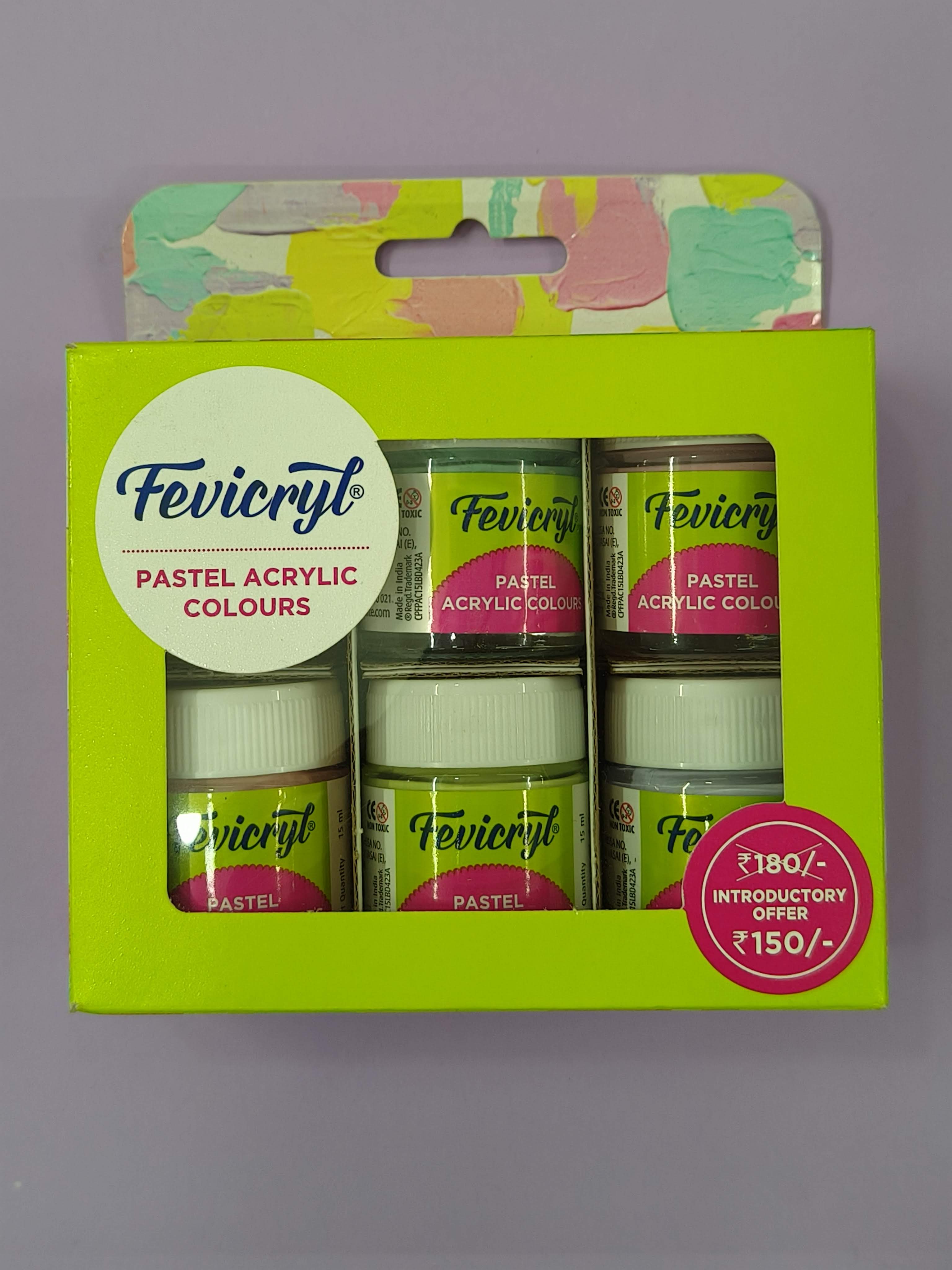 Fevicryl Multi Surface Pastel Acrylic Colours Kit 6 Shades X 15Ml | Ideal For Wood, Glass, Canvas, Metal, Plastic, Mould It | For Hobbyists, Artists, Diy Art And Craft