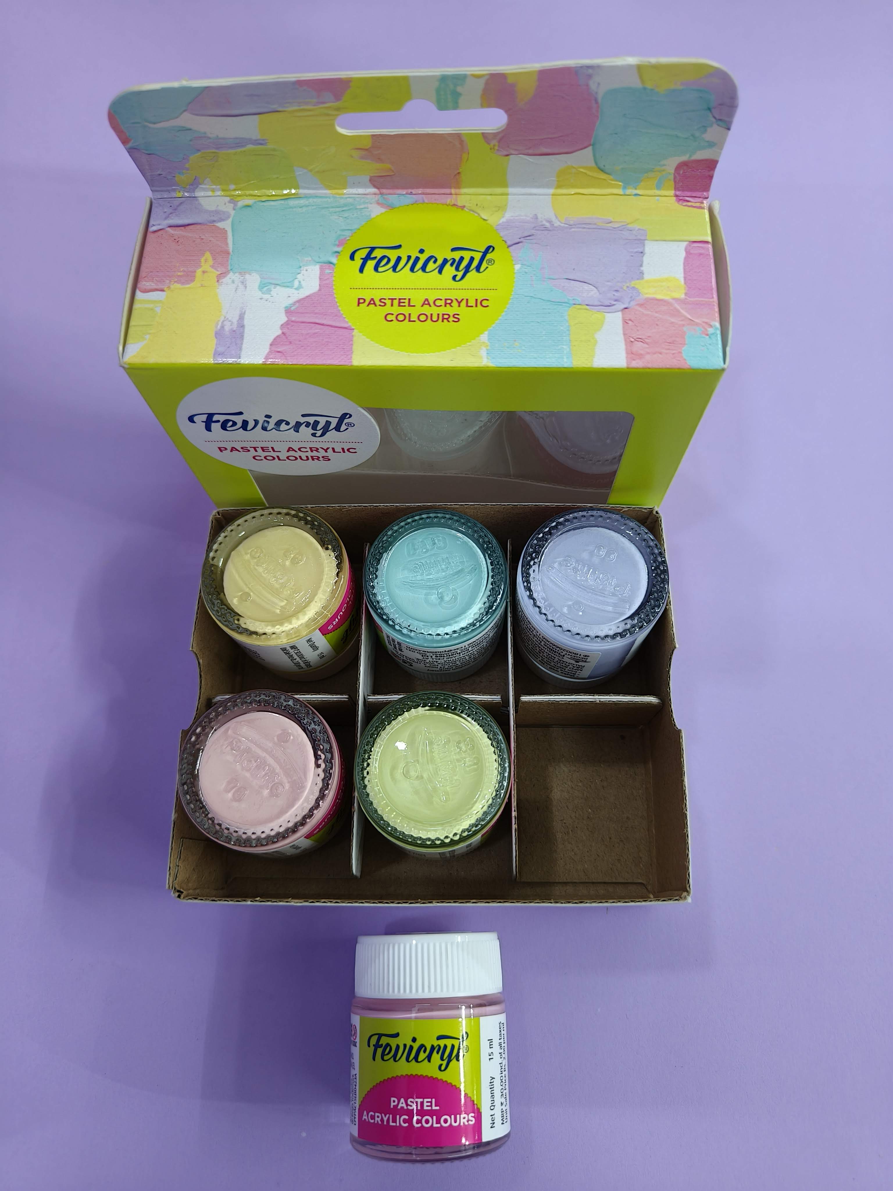 Fevicryl Multi Surface Pastel Acrylic Colours Kit 6 Shades X 15Ml | Ideal For Wood, Glass, Canvas, Metal, Plastic, Mould It | For Hobbyists, Artists, Diy Art And Craft