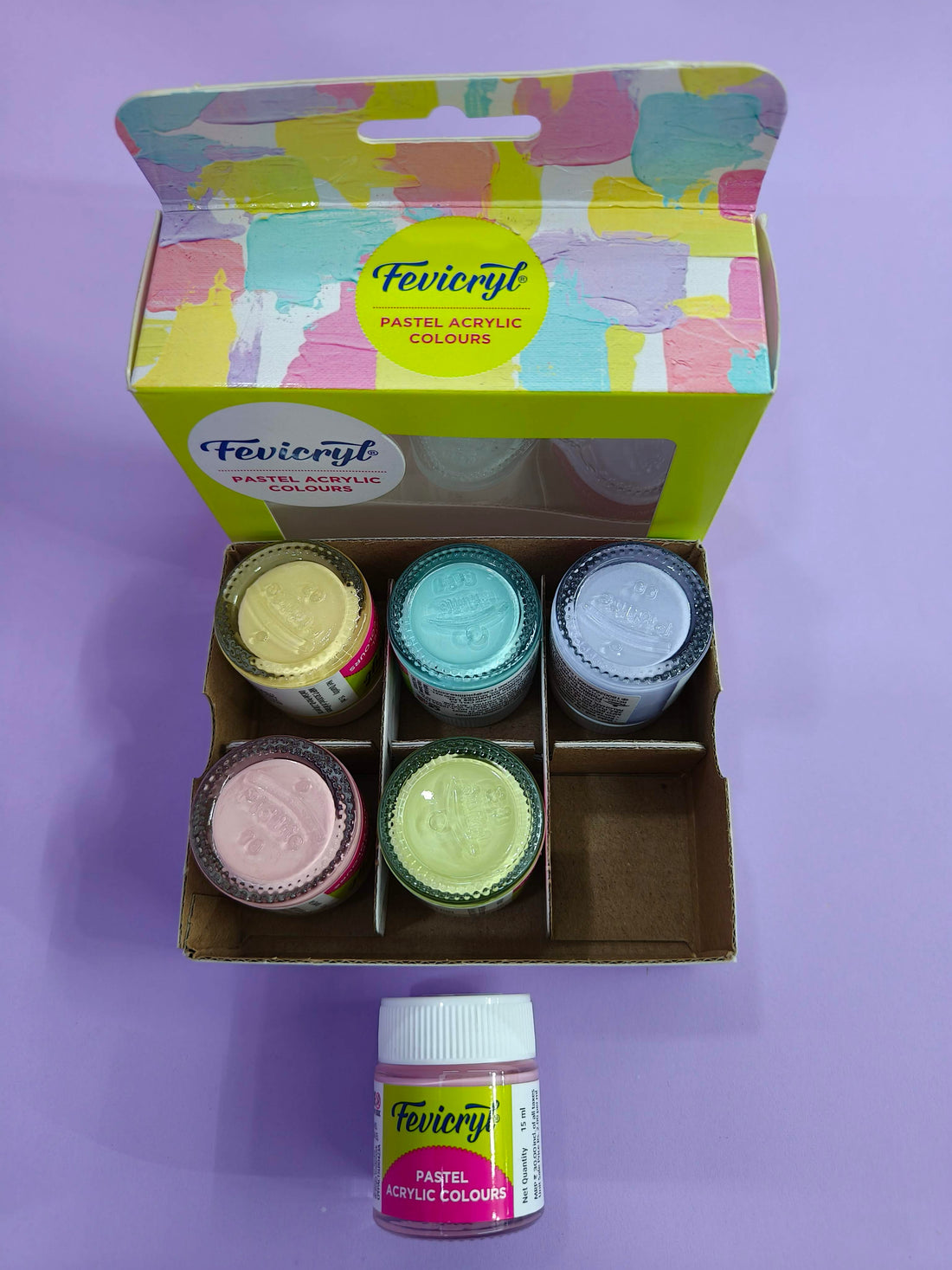 Fevicryl Multi Surface Pastel Acrylic Colours Kit 6 Shades X 15Ml | Ideal For Wood, Glass, Canvas, Metal, Plastic, Mould It | For Hobbyists, Artists, Diy Art And Craft