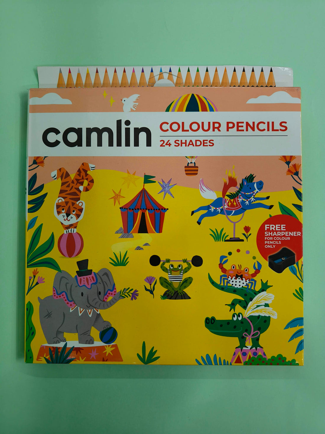Camlin 24 Shades Color Pencil With Sharpener, 24 Pieces