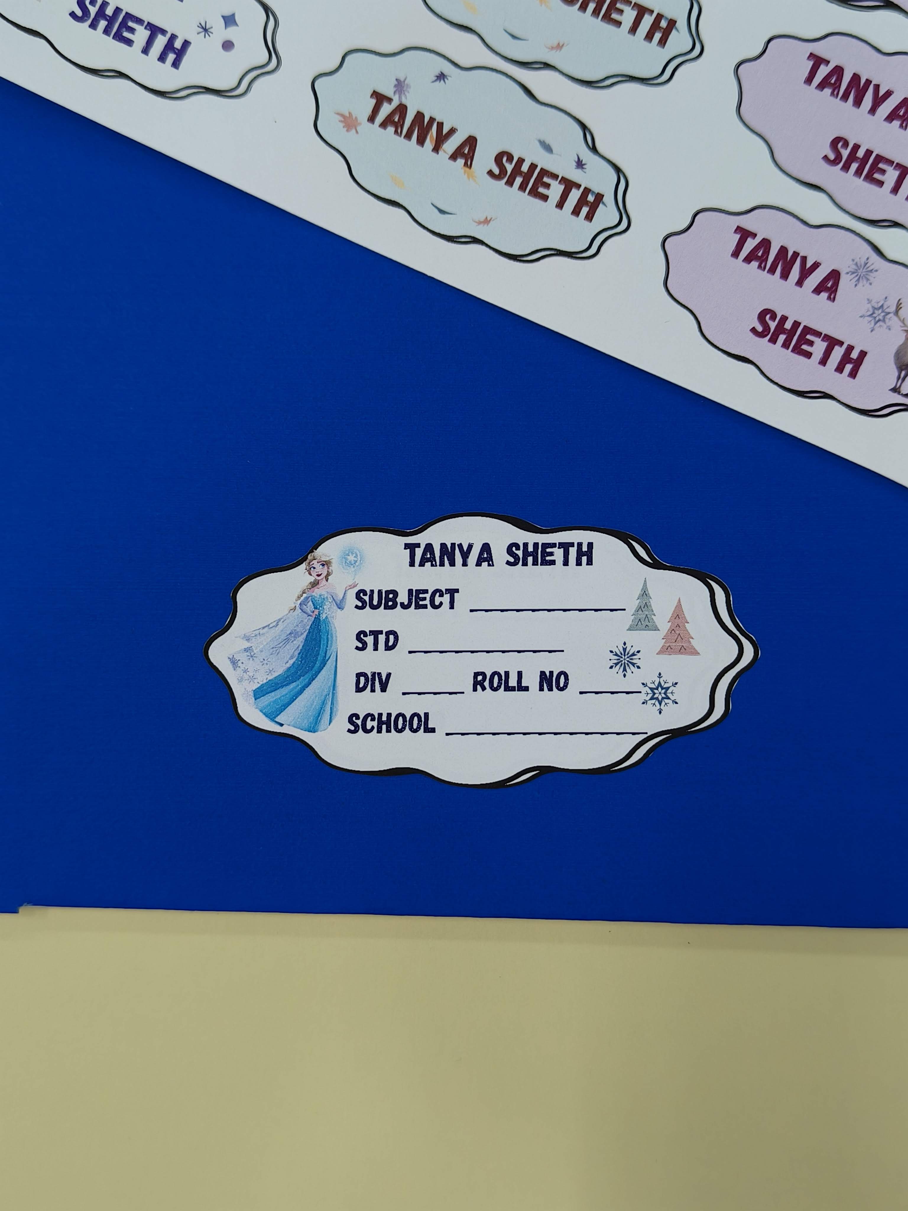 Personalized School Lables and Name Stickers | Frozen Theme School Lables and Name Stickers | Custome Waterproof Name Label for Books, Notebooks, Water Bottles, Tiffins, Stationery, 27 Pieces